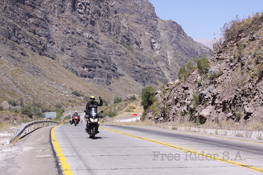 Paseo Triumph Rat Young Mendoza 2015 